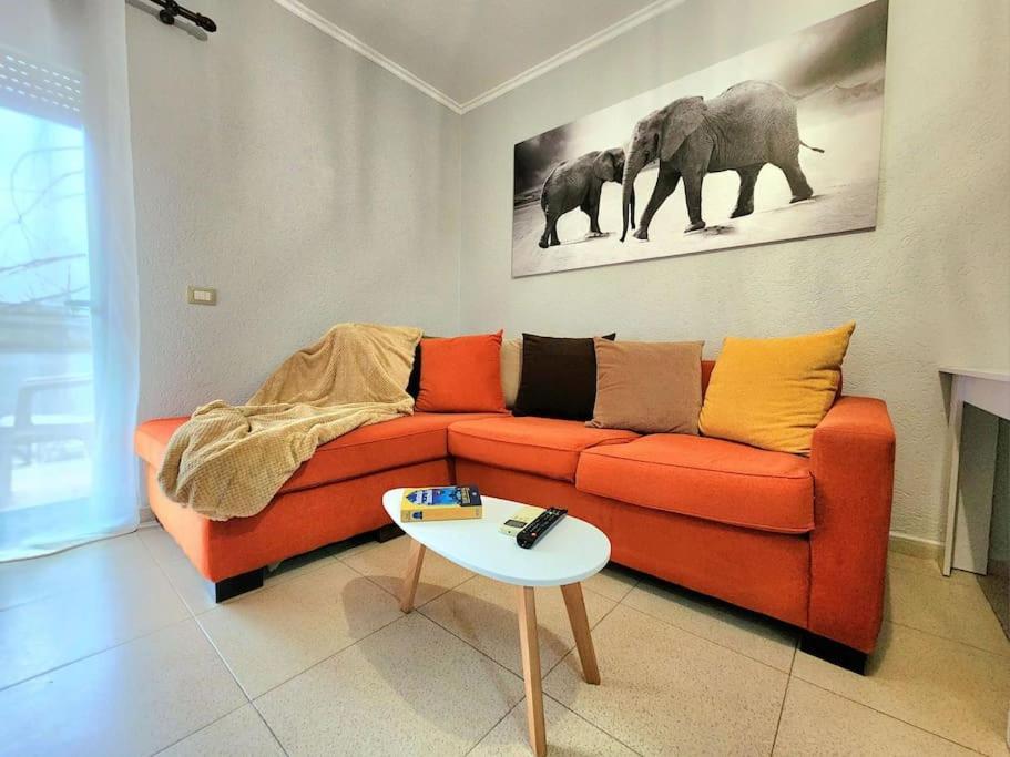 شقة One Bd Flat Near Center With 24H Self Check In تيرانا المظهر الخارجي الصورة